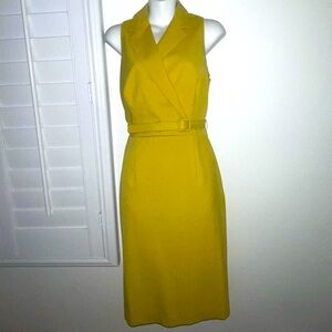 Banana Republic heritage Mustard Tone Dress with Belt-4